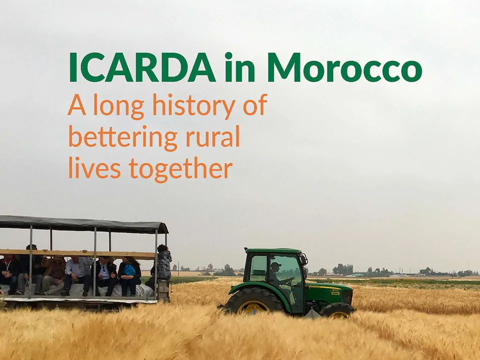 Booklet Design – ICARDA