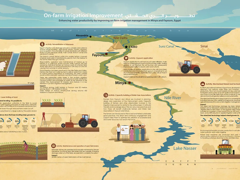 Infographic Design – ICARDA